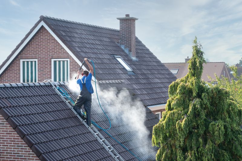 Roof Cleaning Services