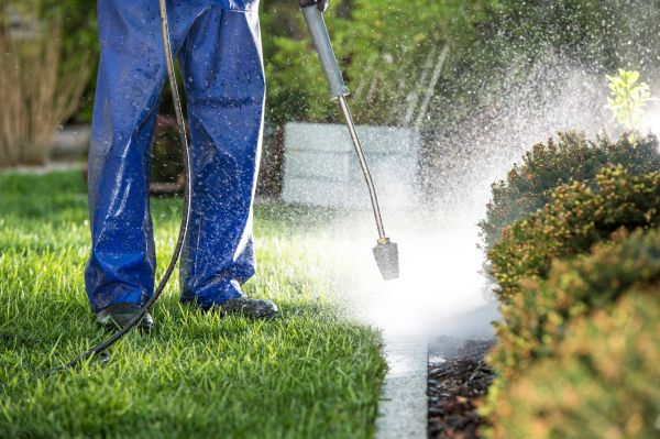 Cost of Curb Cleaning in Irvine